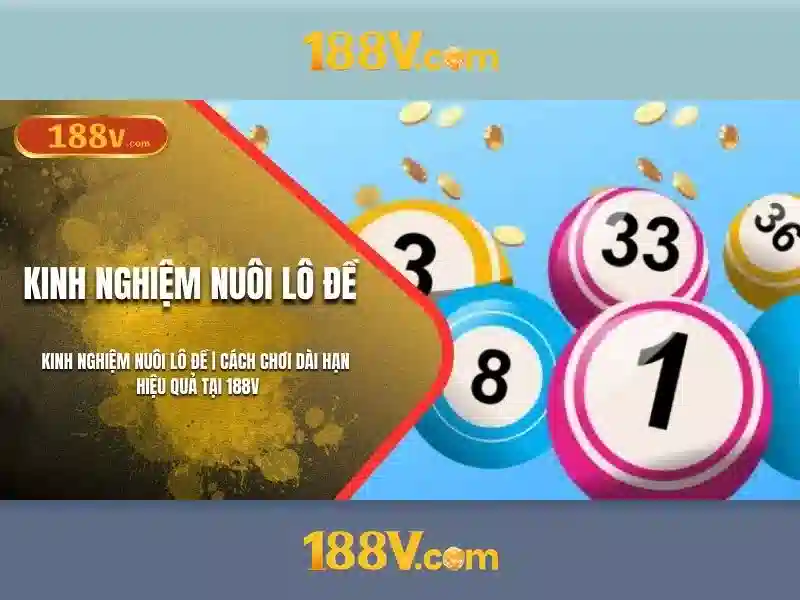 Thực hành và trải nghiệm người xem