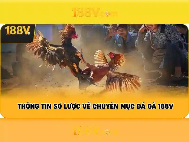 Ket-luan-dang-nhap-188v
