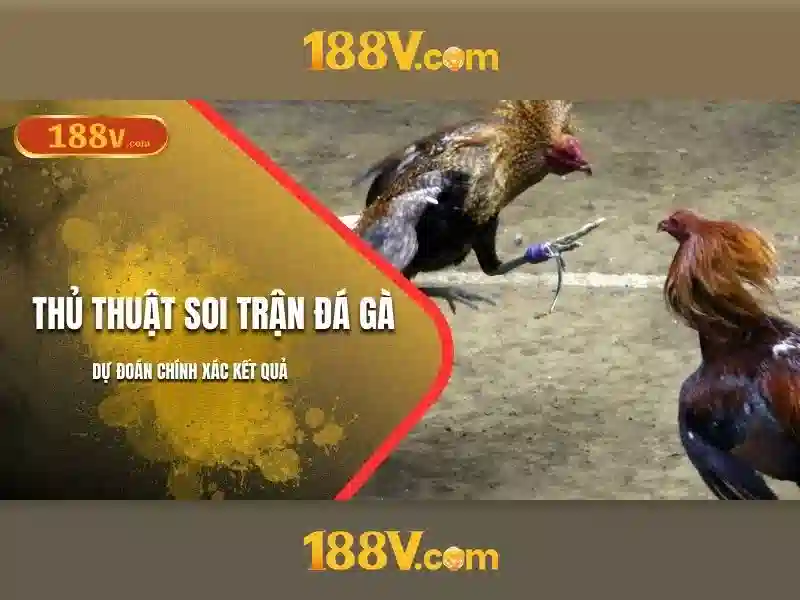 Khám phá 188v: hiện tượng và ứng dụng