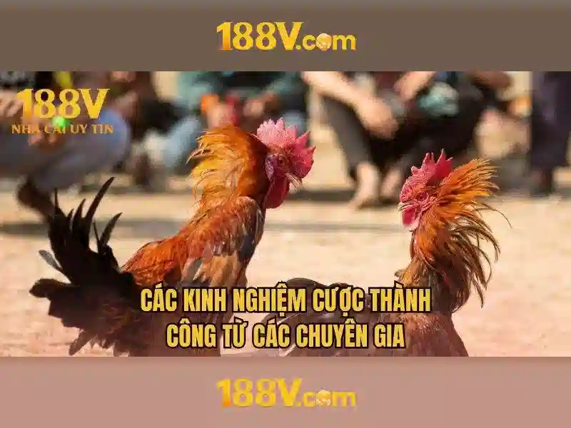 Khám phá 188V: công nghệ nguồn năng lượng cao