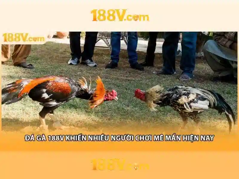 Khái niệm 188v