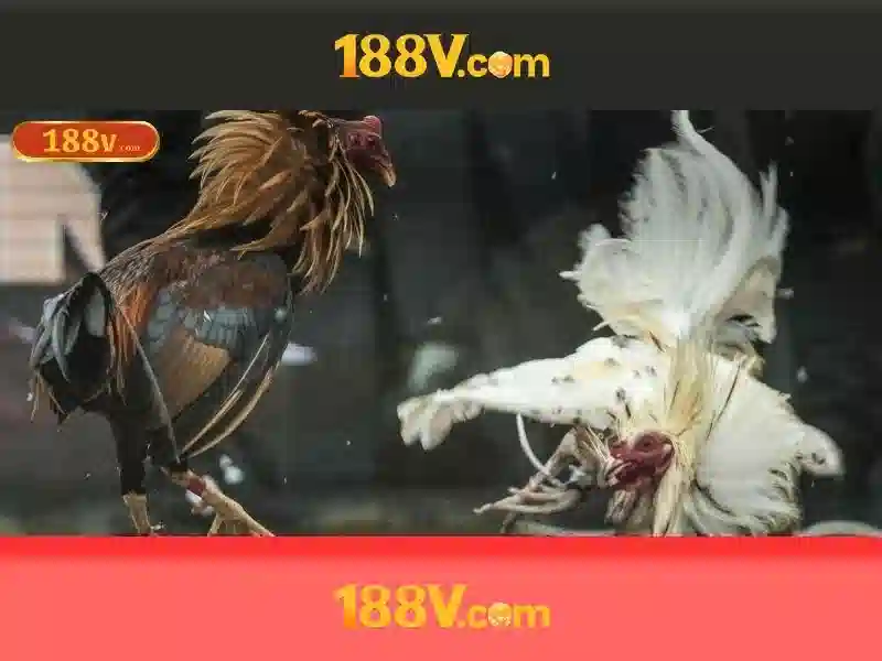 Ứng dụng tiềm năng
