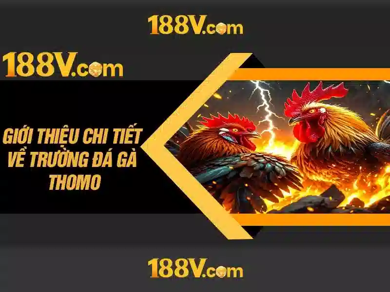 188v: Khái niệm và ảnh hưởng