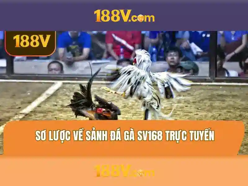Khám phá 188V và các khía cạnh an toàn