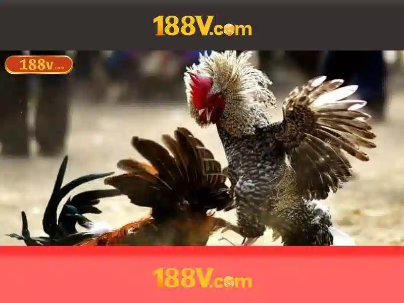 Nguồn gốc và ý nghĩa của 188v