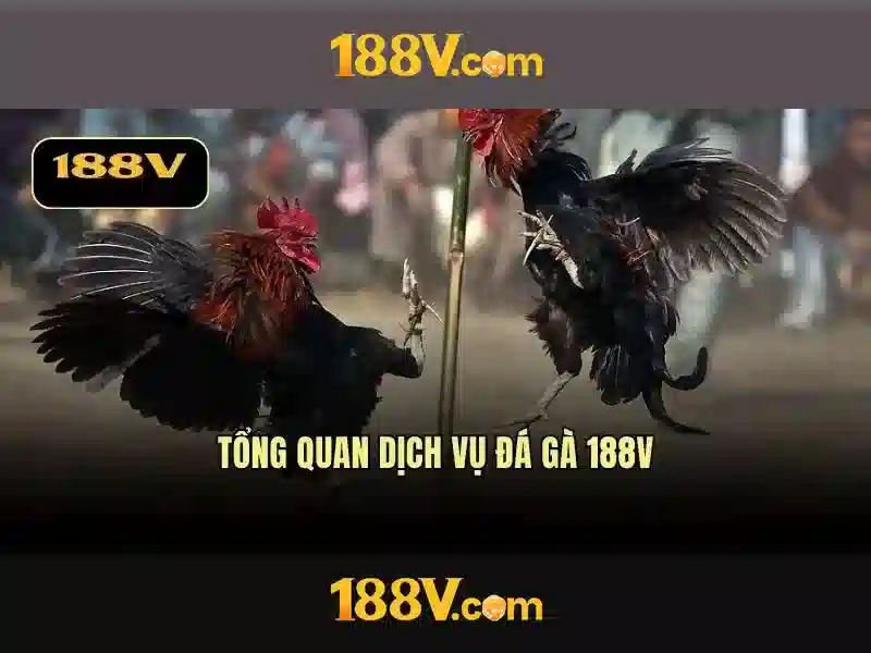 Khám phá 188v: hành trình giữa số và ý nghĩa
