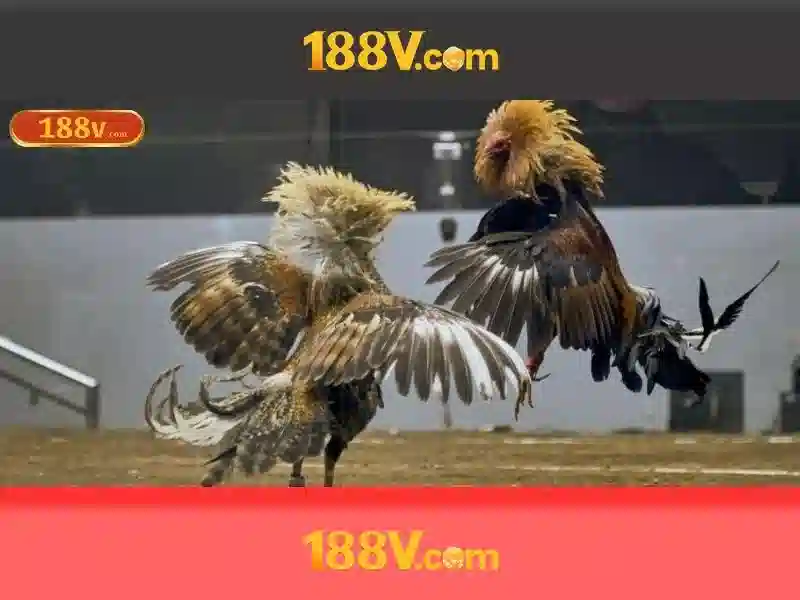 Nguồn gốc và lịch sử của 188v\n\n