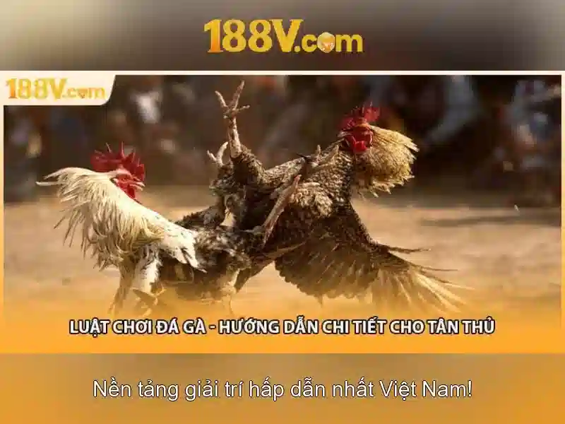 188v: Khung nhìn số và biểu tượng