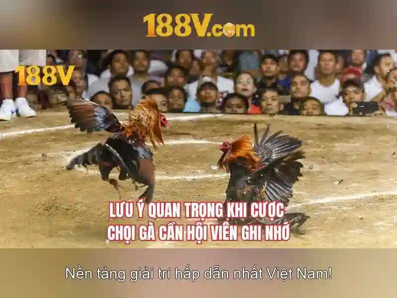 Khám phá 188v: một khái niệm số và văn hóa