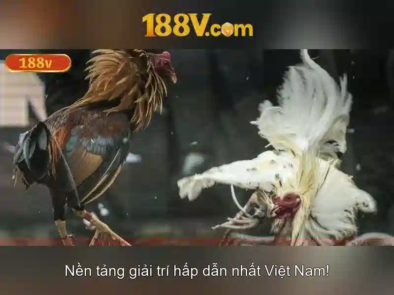 188v: một khái niệm mang tính biểu tượng