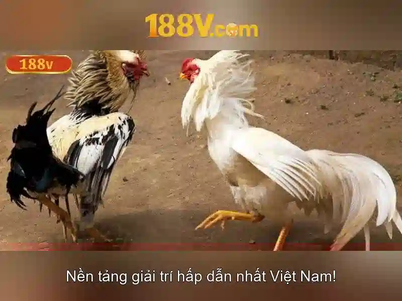 188v – một hành trình của số và vận tốc