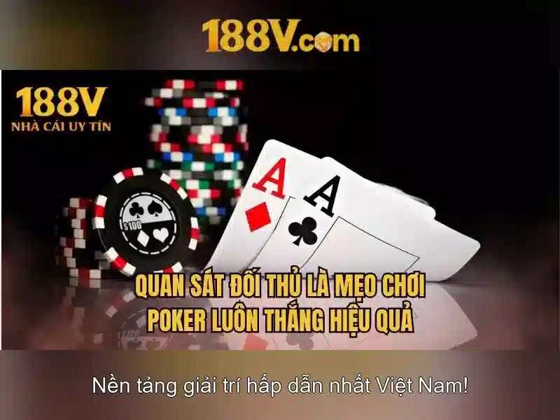 Lịch sử và phát triển