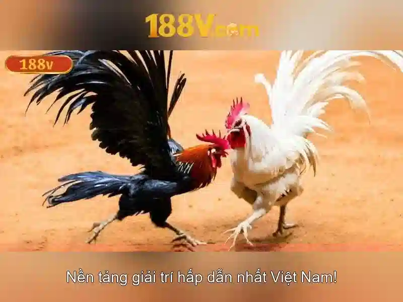 Khám phá 188v: nguồn cảm hứng và ứng dụng