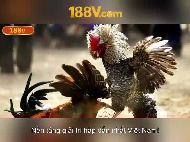 Khám phá 188v: một khía cạnh của điện năng