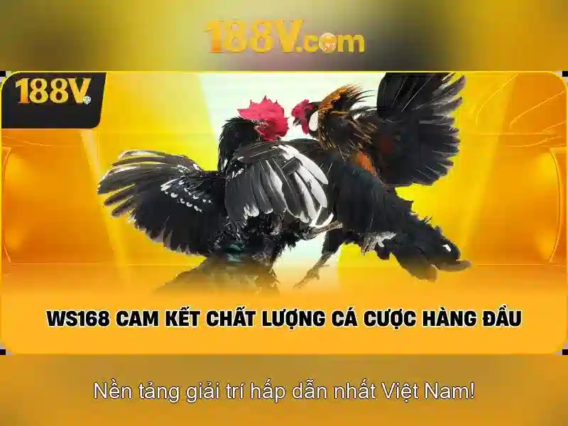 phiên bản mới 188v – Bước tiến đột phá cho người dùng