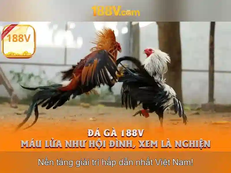 188v và hành trình của một ký hiệu trong số học