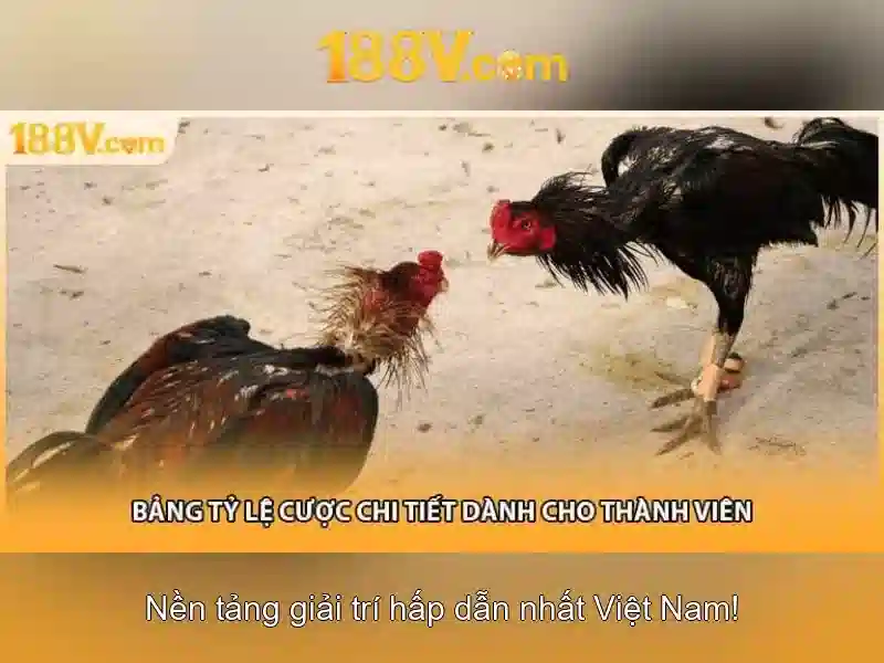188v và nhịp thở của thế giới số