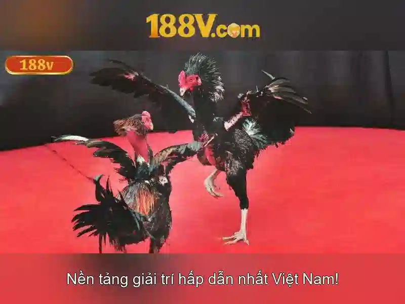 Khám phá 188V: Khái niệm và ảnh hưởng công nghệ tương lai