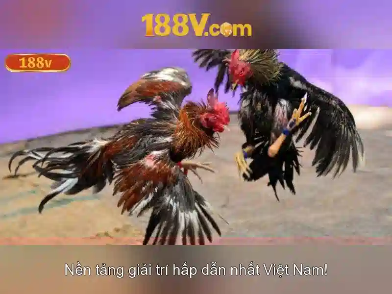 Khám phá 188v: một khía cạnh của thế giới số