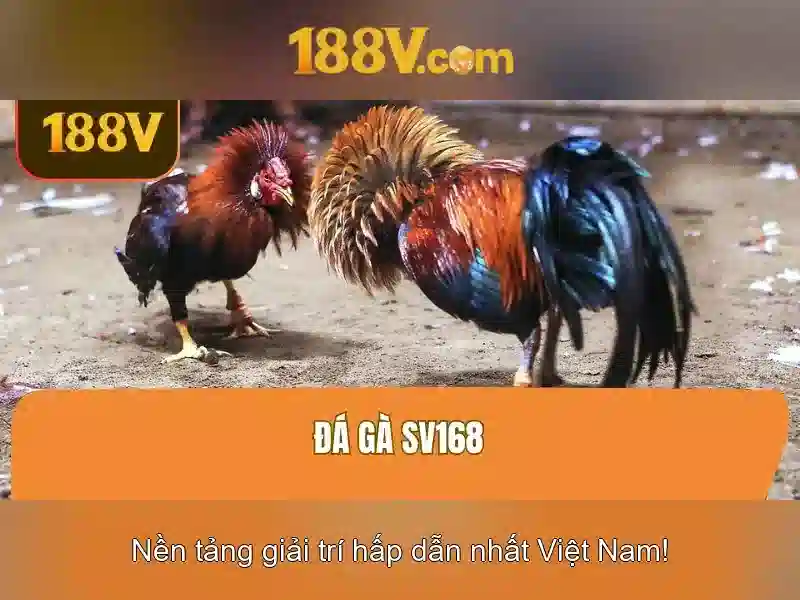 188v: hành trình của một ý tưởng công nghệ