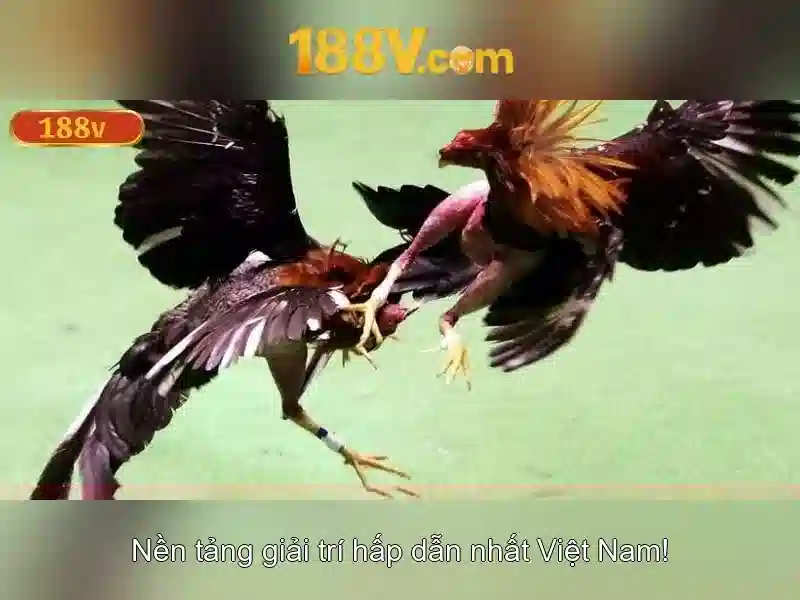 Nguon goc va cach phat trien\n\n