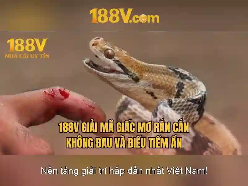 188v: một câu chuyện về con số đặc biệt
