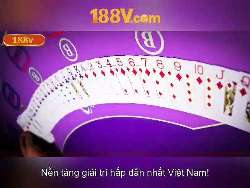 Trải nghiệm người dùng và Phản hồi cộng đồng