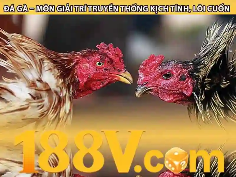 Nguồn gốc và ý nghĩa