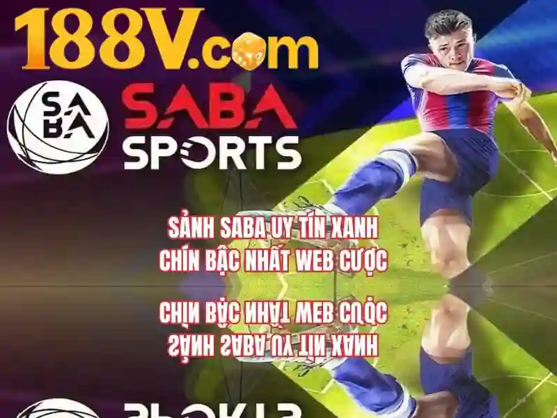 'Trải nghiệm người dùng và phản hồi cộng đồng'
